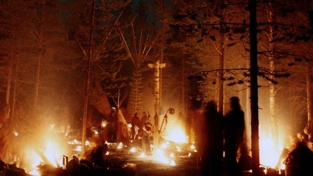 Vignette du programme télé La tribu et le gourou : Gaïaland - Saison 1