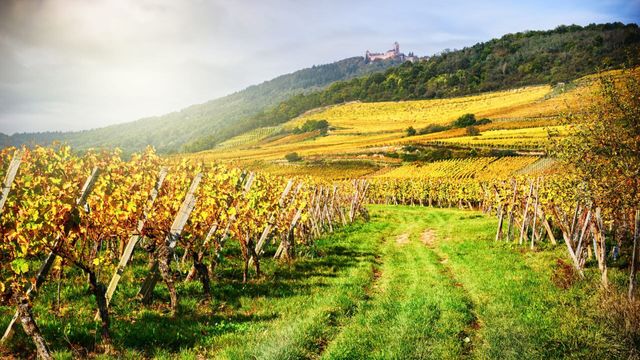 Vignette du programme télé M comme Maison