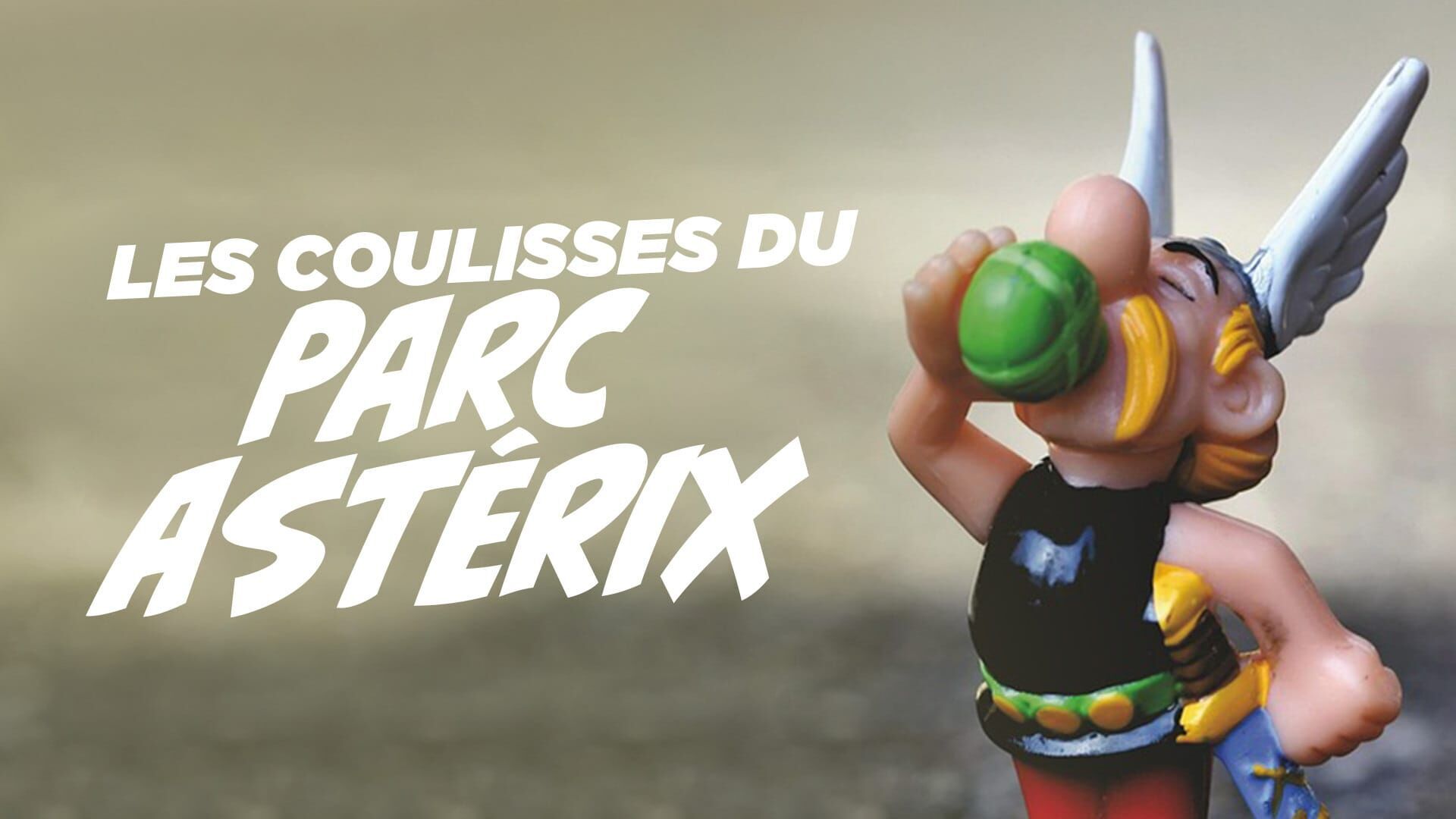 Vignette du programme télé Les coulisses du parc Astérix