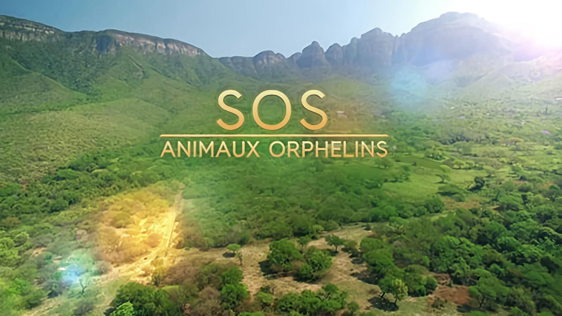Vignette du programme télé SOS animaux orphelins