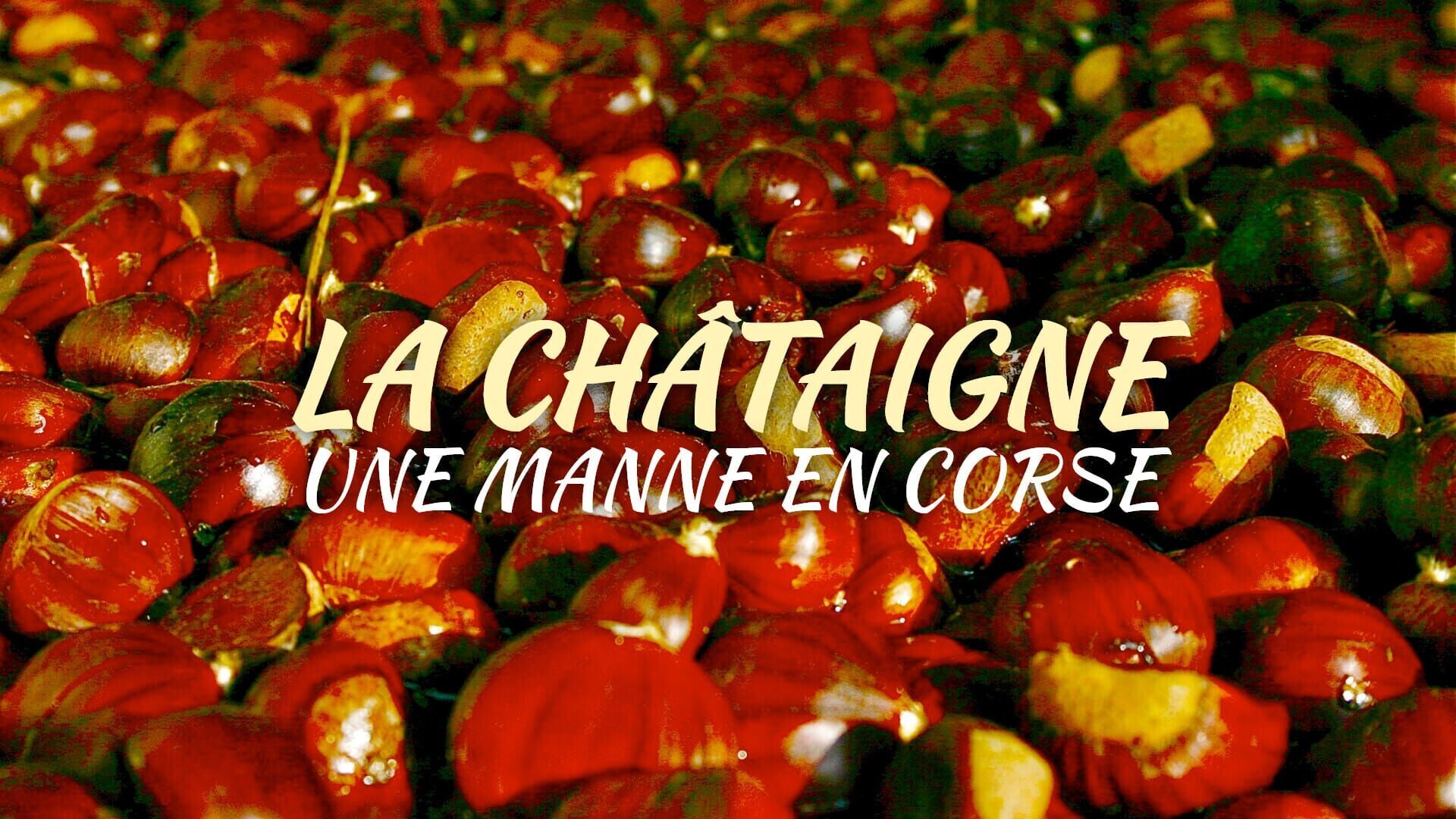 Vignette du programme télé La châtaigne, une manne en Corse