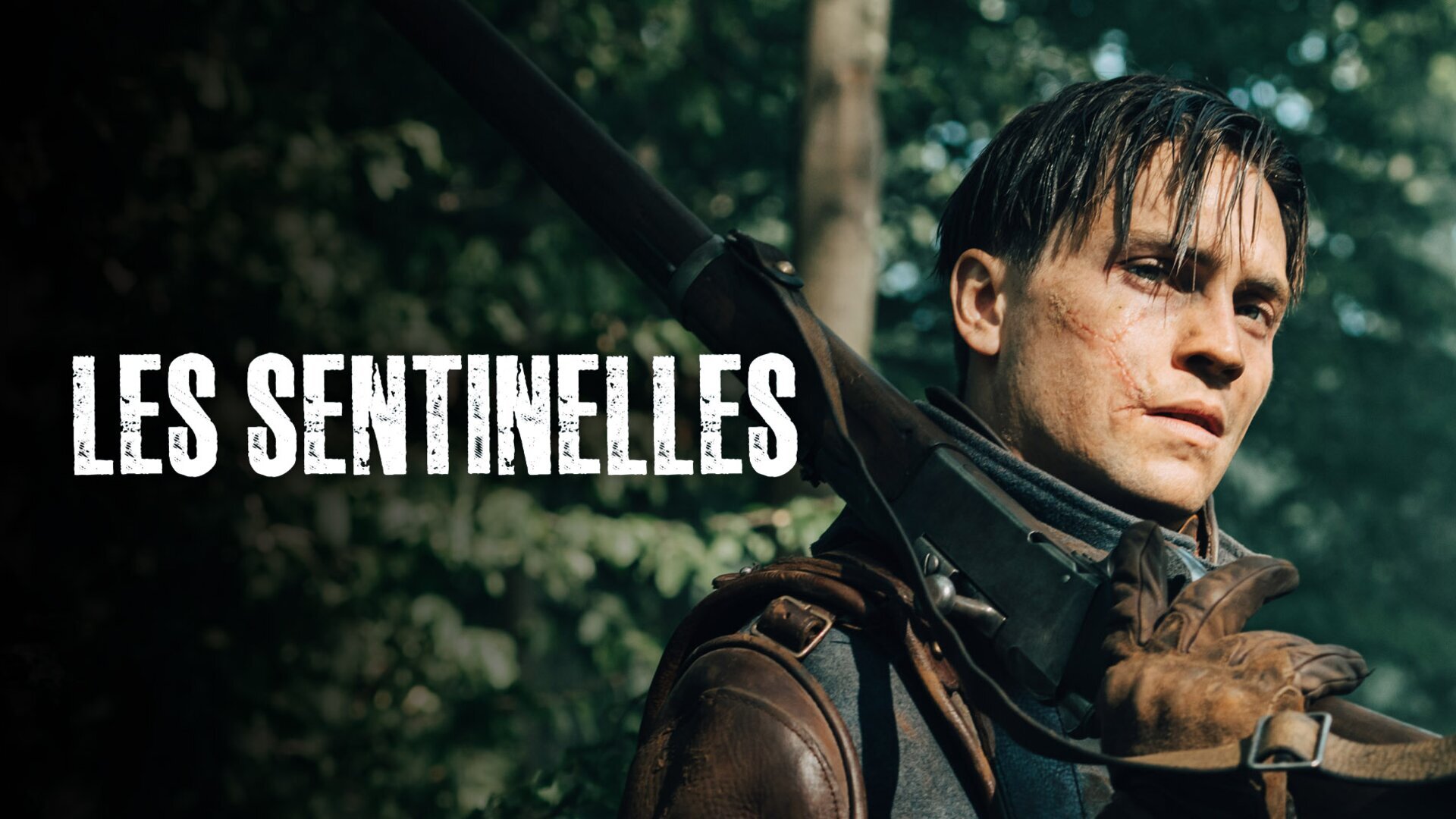 Vignette du programme télé Les Sentinelles