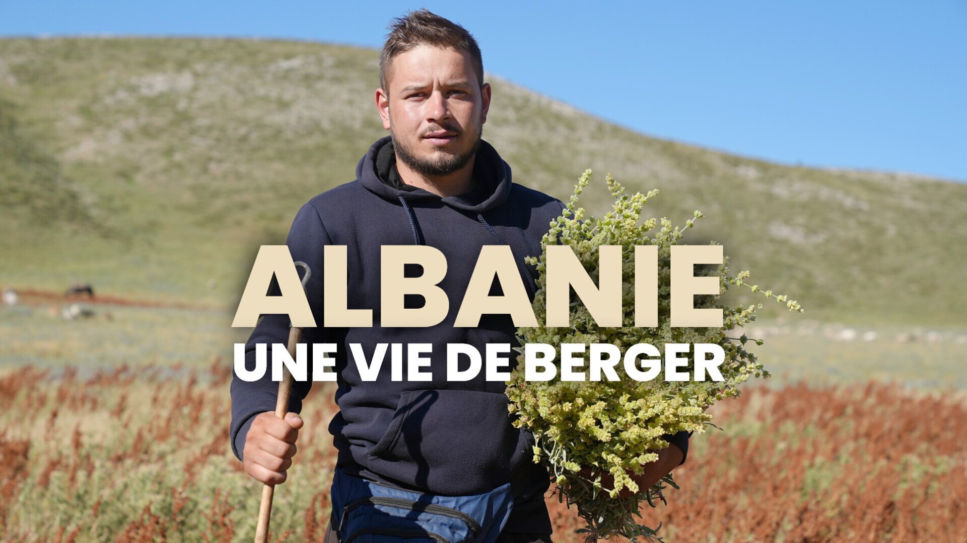 Vignette du programme télé Albanie, une vie de berger