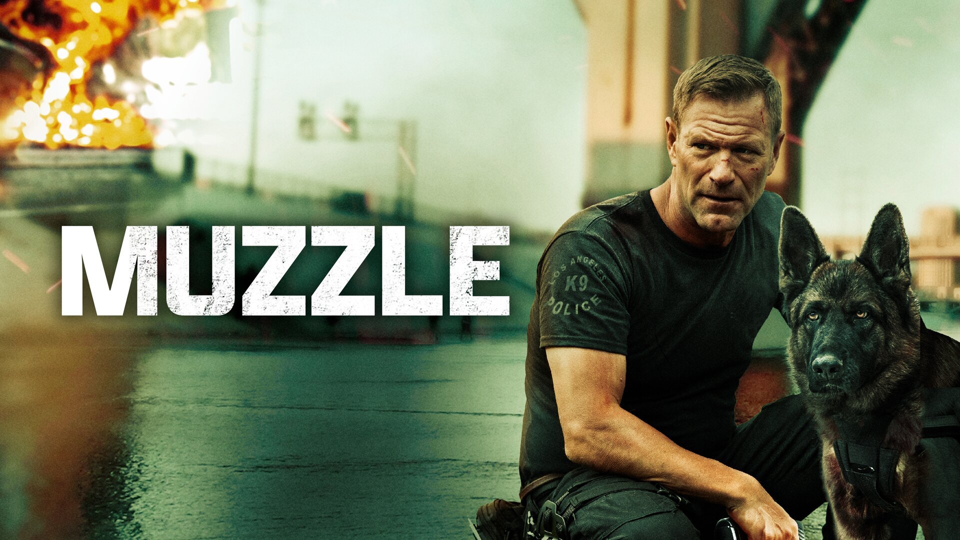 Vignette du programme télé Muzzle