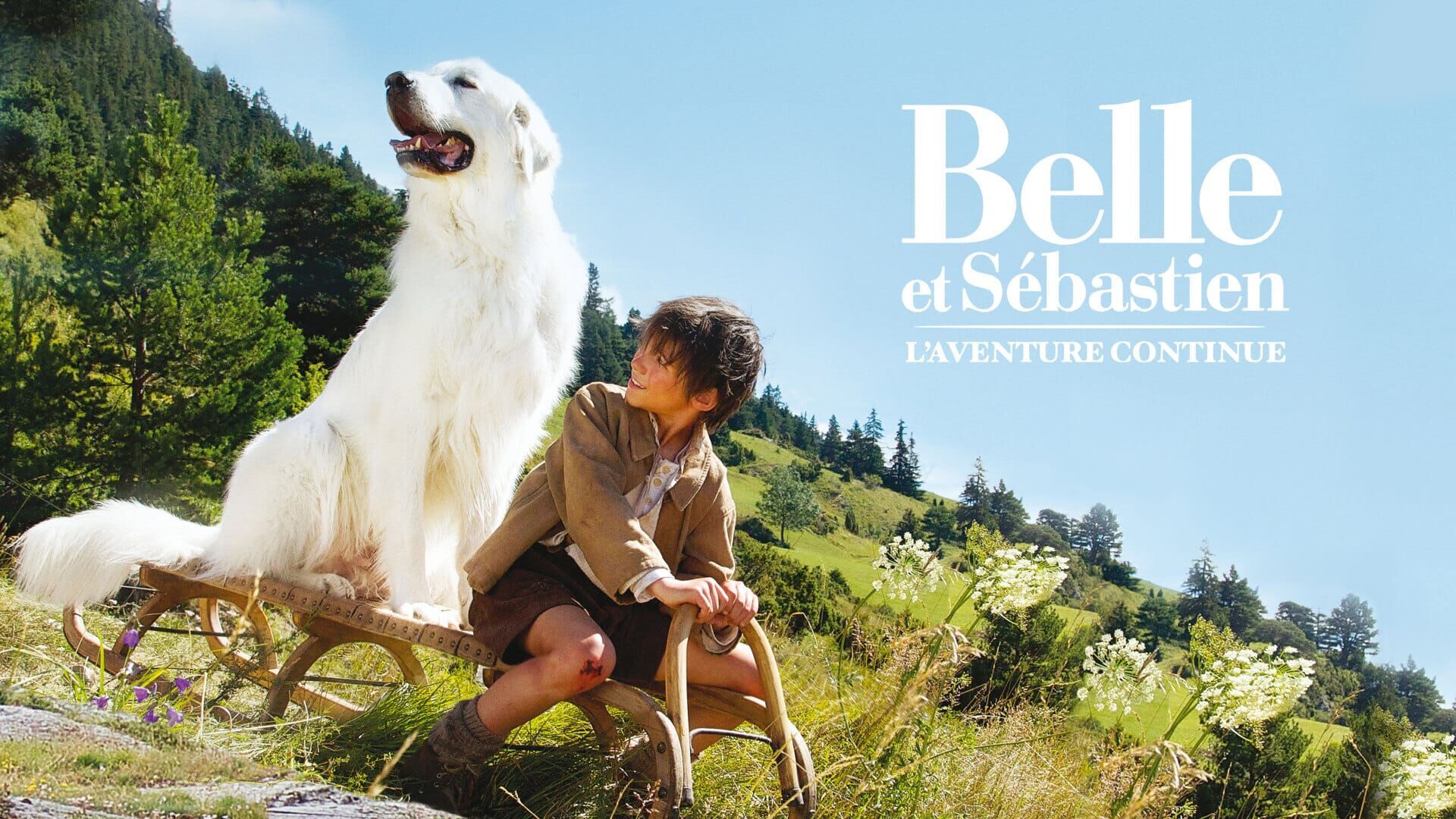 Vignette du programme télé Belle et Sébastien, l'aventure continue