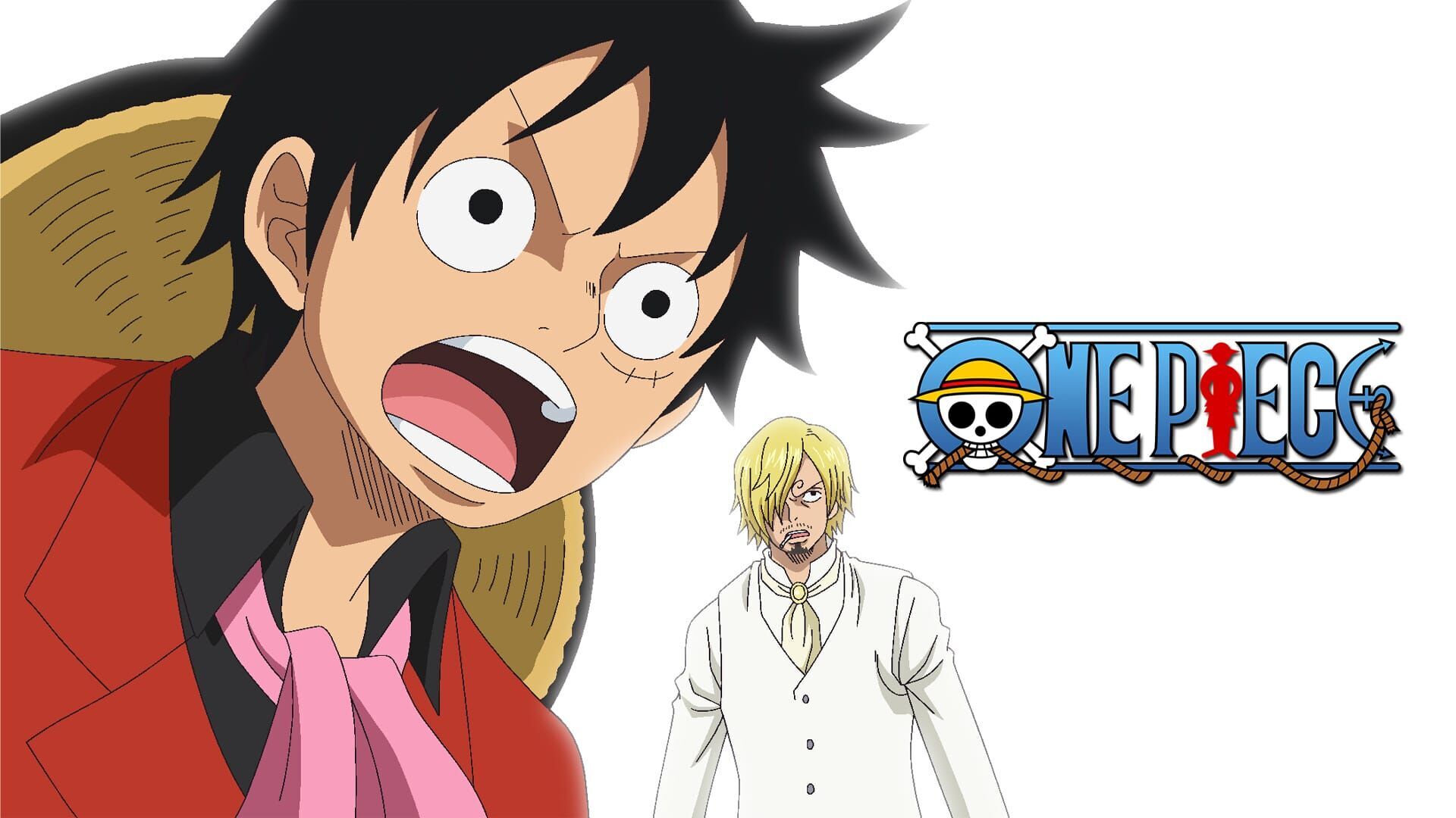 Vignette du programme télé One Piece