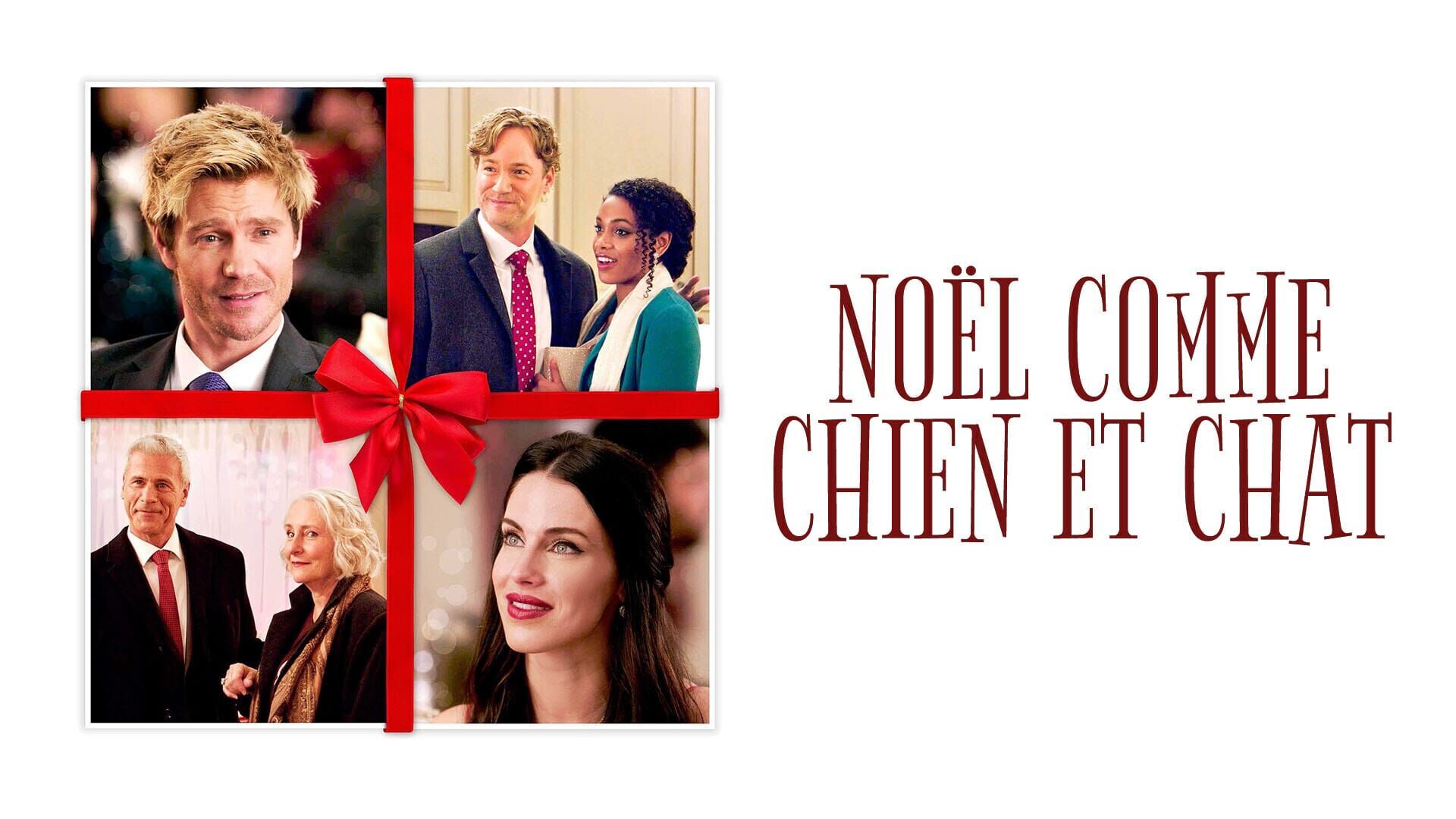 Vignette du programme télé Noël comme chien et chat