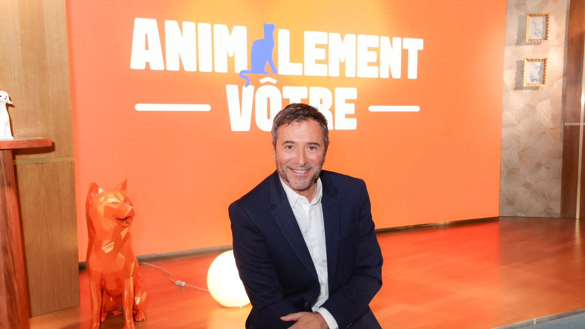 Vignette du programme télé Animalement vôtre