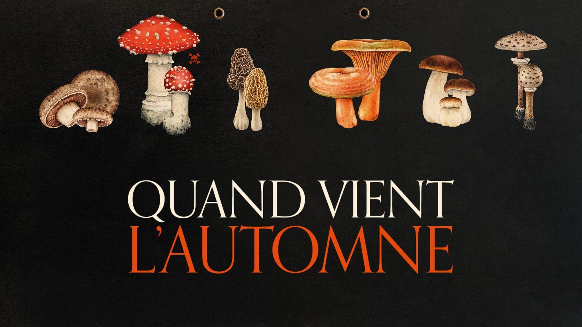 Vignette du programme télé Quand vient l'automne