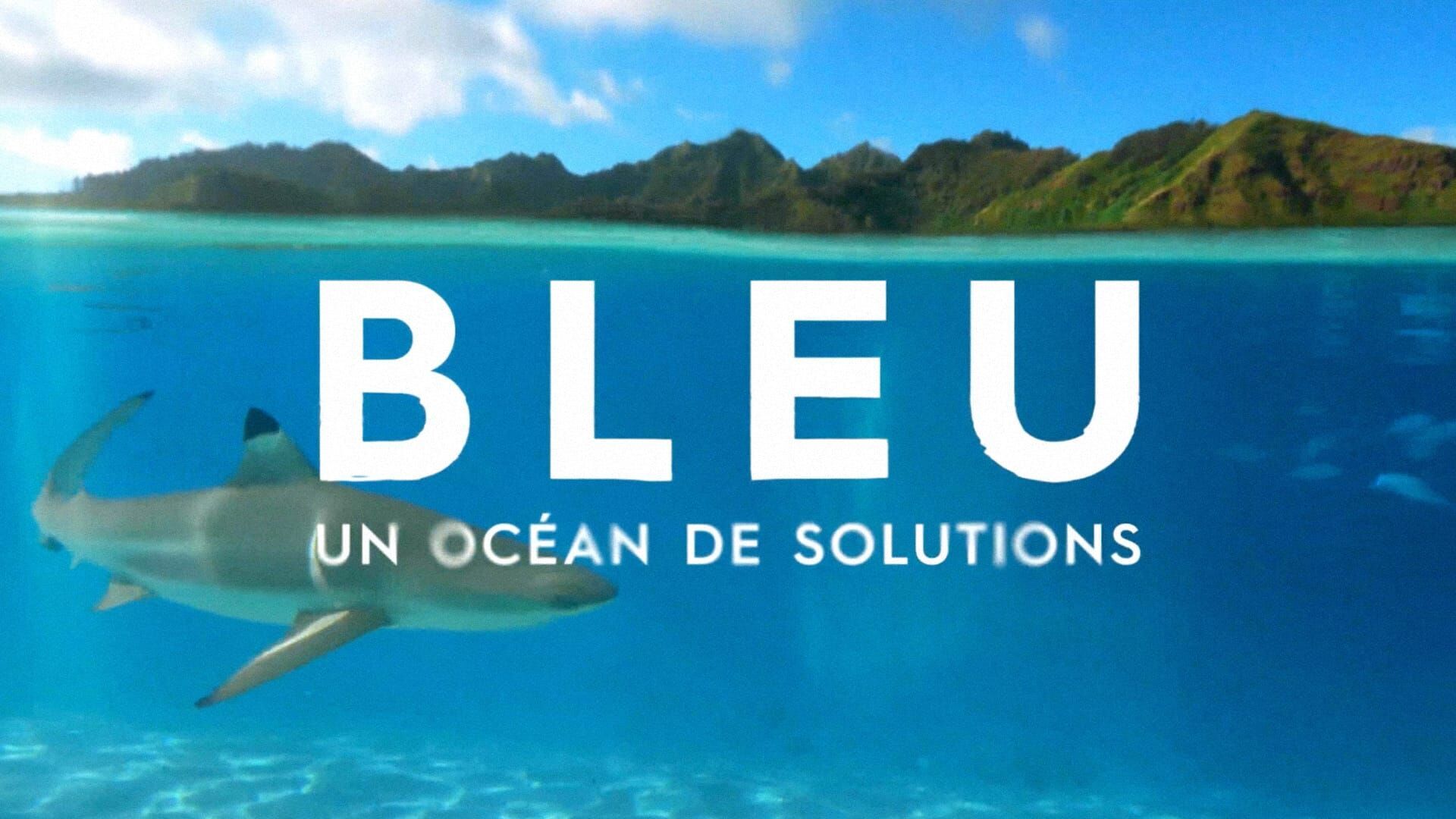 Vignette du programme télé Bleu, un océan de solutions