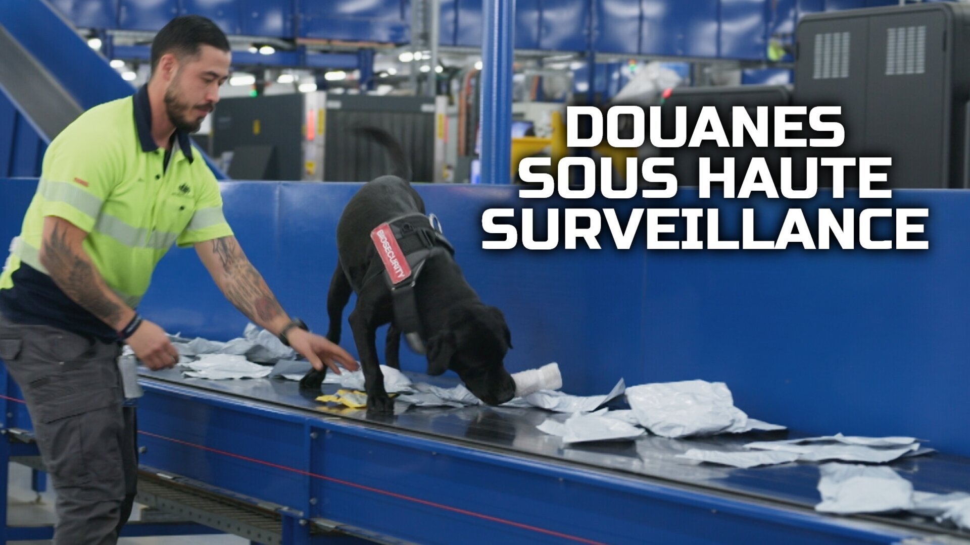 Vignette du programme télé Douanes sous haute surveillance