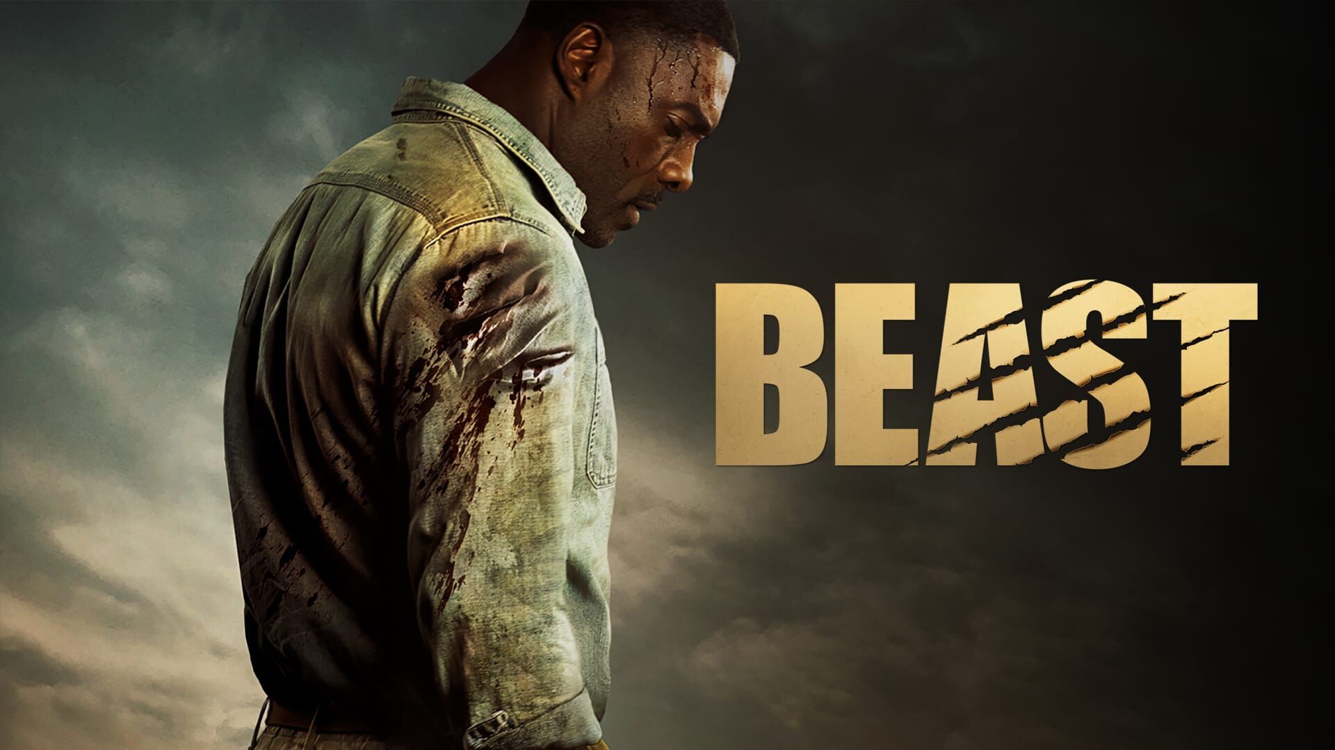 Vignette du programme télé Beast