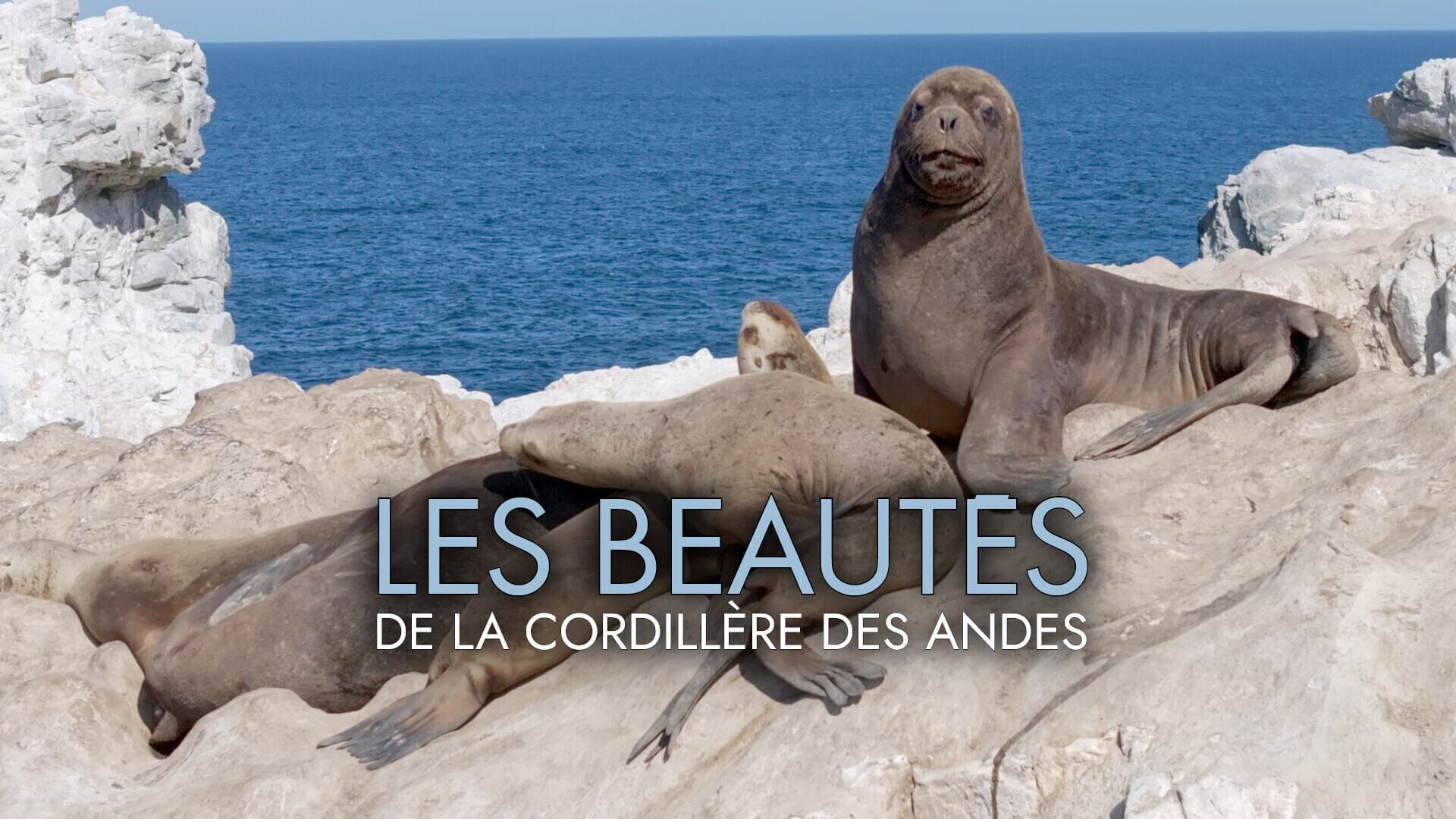 Vignette du programme télé Les beautés de la cordillère des Andes