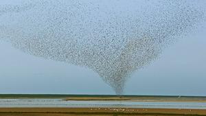 Vignette du programme télé Au coeur de la Scandinavie (La magie des fjords) S1 (1/3)