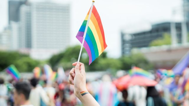 Vignette du programme télé Hongrie : la fierté LGBTQ+ face à Orban