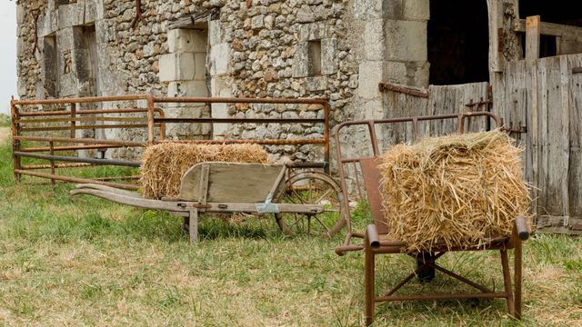 Vignette du programme télé Les Bodin's enquêtent en Corse