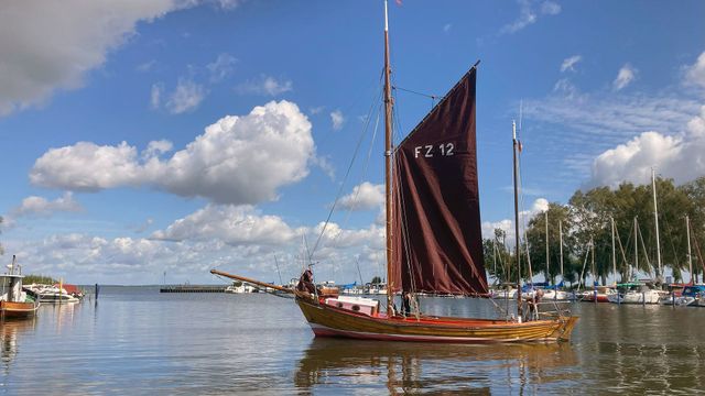 Vignette du programme télé L'estuaire du fleuve Oder : Une lagune à l'écosystème foisonnant