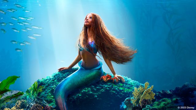 Vignette du programme télé La Petite Sirène