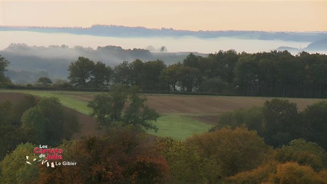 Vignette du programme télé Les carnets de Julie