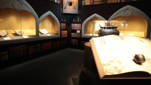 Vignette du programme télé Harry Potter : aux origines de la magie