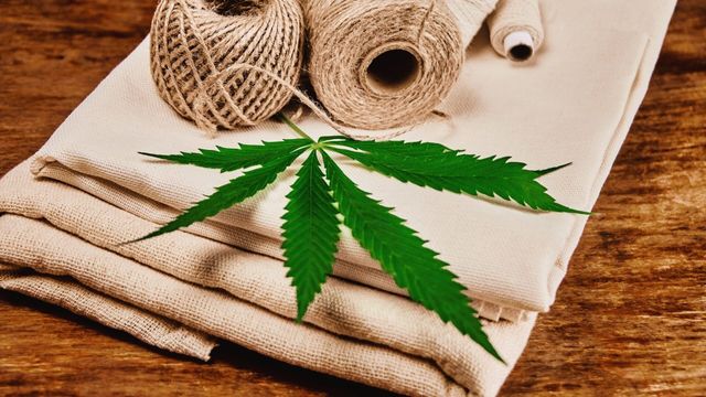 Vignette du programme télé Le chanvre, cette fibre vertueuse