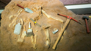 Vignette du programme télé Momies d'Egypte, en quête d'immortalité