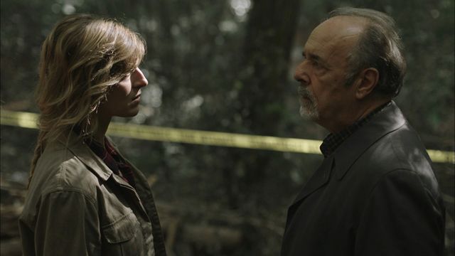 Vignette du programme télé La forêt - Saison 1