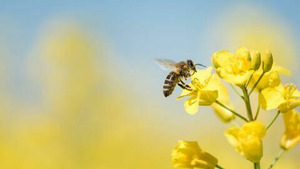 Vignette du programme télé Pris sur le vif (Défier la gravité) S1 (3/3)