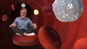 Vignette du programme télé Le monde de Jamy (Santé, transports, climat : les animaux ont la solution !)