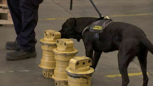 Vignette du programme télé Douanes sous haute surveillance (Amour déçu et saisie magistrale) S14 (n°15)