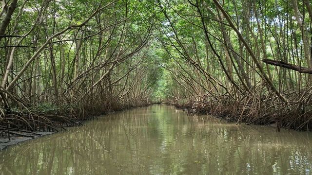 Vignette du programme télé Invitation au voyage