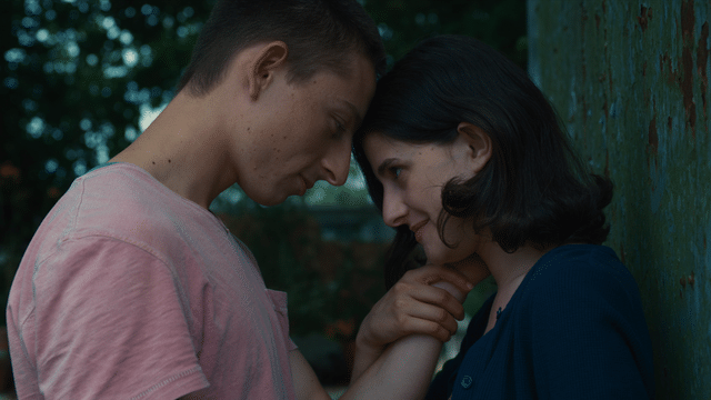 Vignette du programme télé Le Phasme et l'Ortie