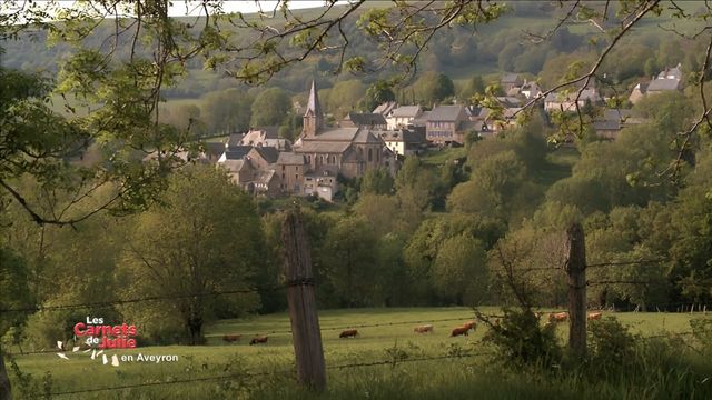 Vignette du programme télé Les carnets de Julie