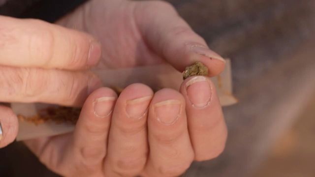 Vignette du programme télé Cannabis, un paradoxe français