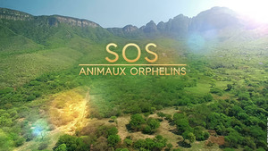 Vignette du programme télé SOS animaux orphelins (Des phacochères en route vers la liberté) S1 (5/13)