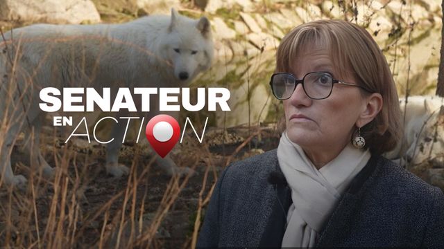 Vignette du programme télé Sénateur en action - Saison 1