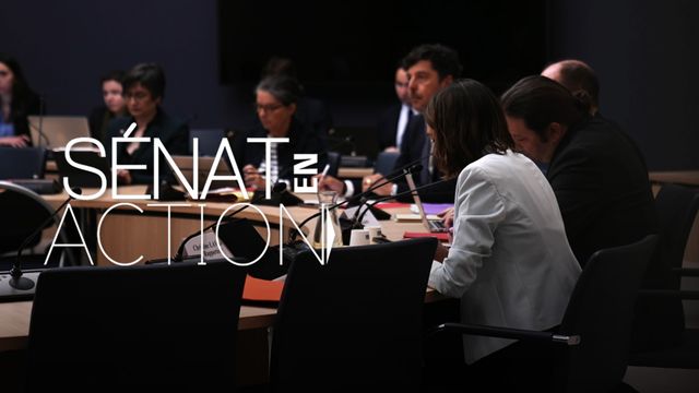Vignette du programme télé Sénat en action