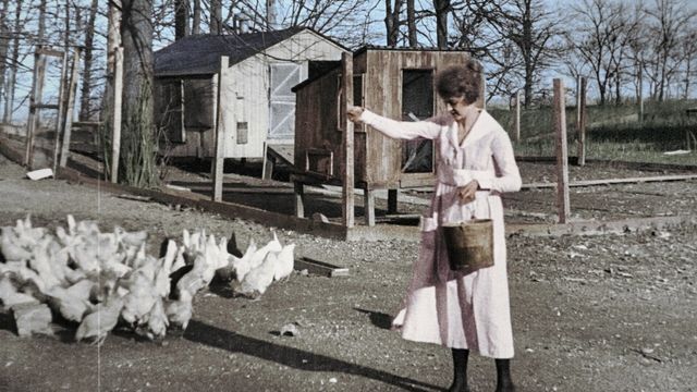 Vignette du programme télé La guerre de tous les Français