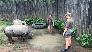 Vignette du programme télé SOS animaux orphelins (Prendre son envol) S1 (6/13)