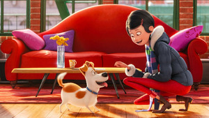 Vignette du programme télé Comme des bêtes