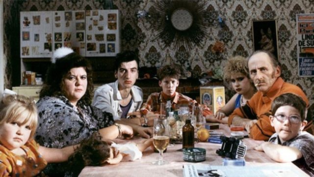 Vignette du programme télé La vie est un long fleuve tranquille