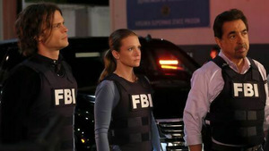 Vignette du programme télé Esprits criminels (La grande évasion) S11 (22/22)