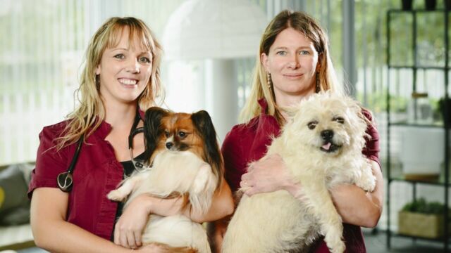 Vignette du programme télé Véto &amp; Co