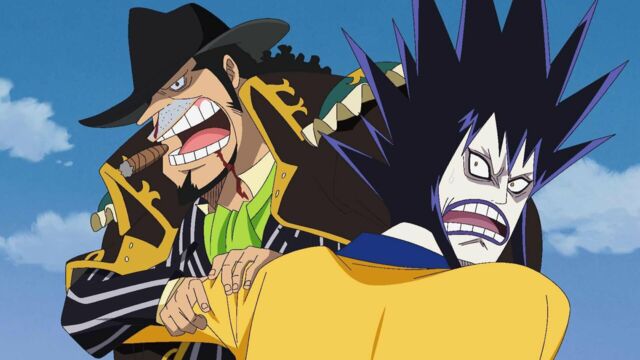 Vignette du programme télé One Piece
