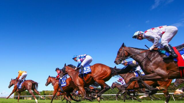 Vignette du programme télé Direct Quinté