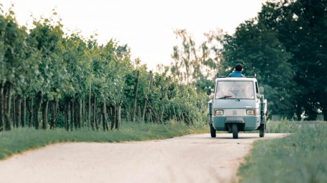 Vignette du programme télé Un été stupéfiant