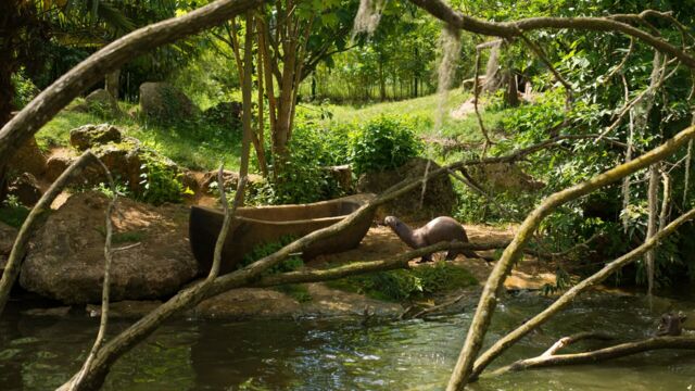 Vignette du programme télé Zoo : le défi de demain