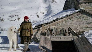 Vignette du programme télé Belle et Sébastien 3 : le dernier chapitre