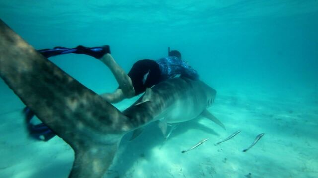 Vignette du programme télé Pêche XXL