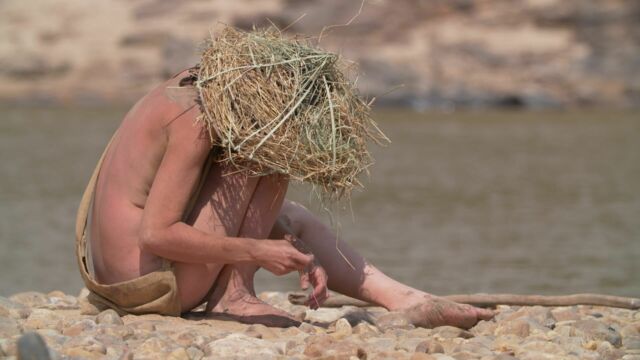 Vignette du programme télé Retour à l&#039;instinct primaire